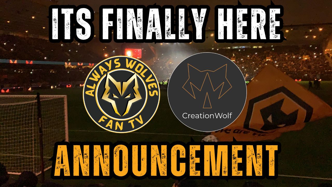 Always Wolves Launches New Website: A Bigger, Better Home for Wolves ...