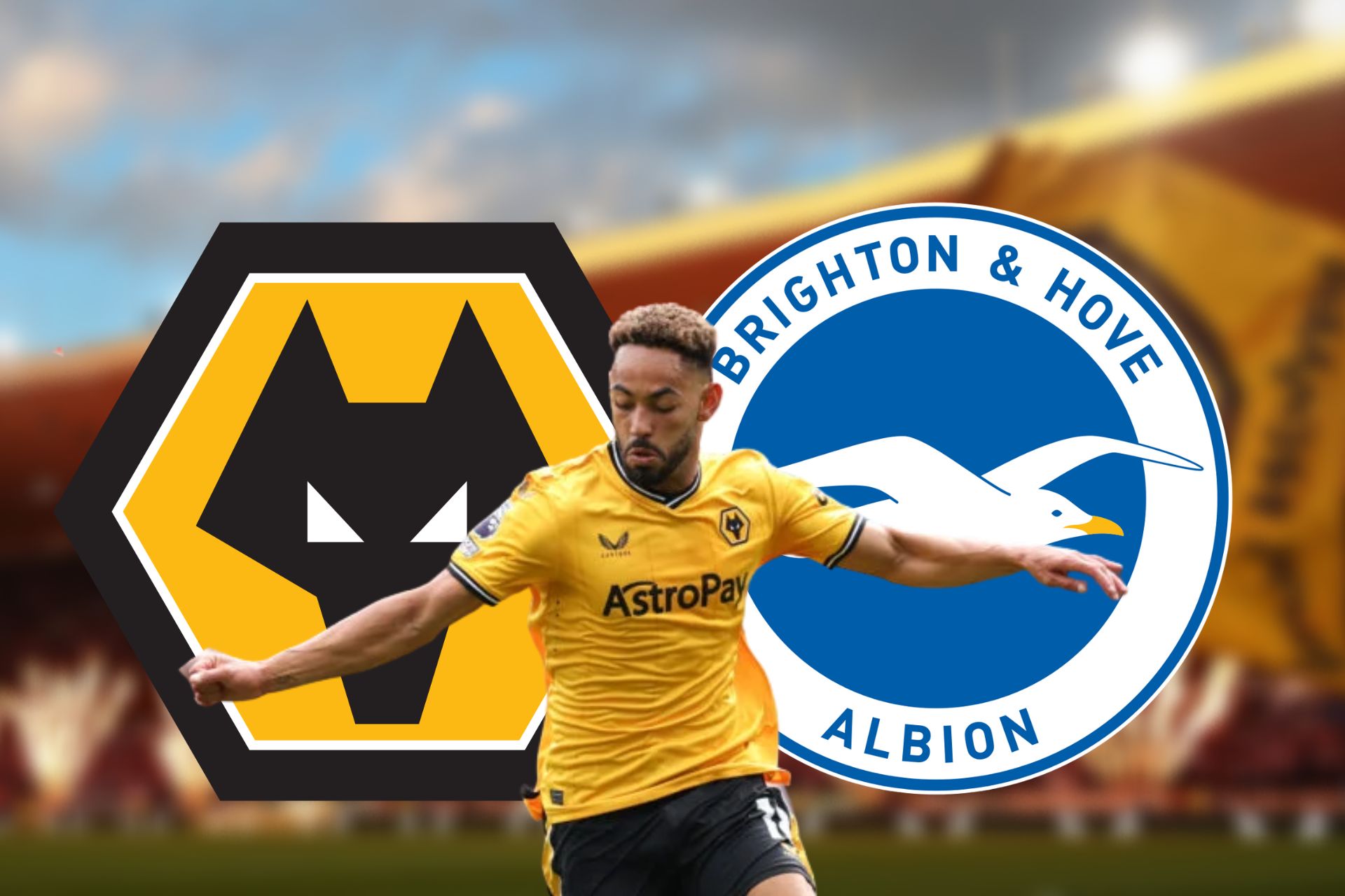 player ratings wolves 1 brighton 4 | Always Wolves
