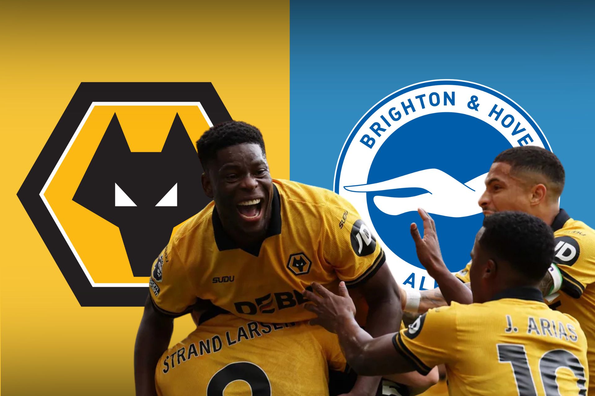 PLAYER RATINGS: WOLVES 1 BRIGHTON 1 | Always Wolves