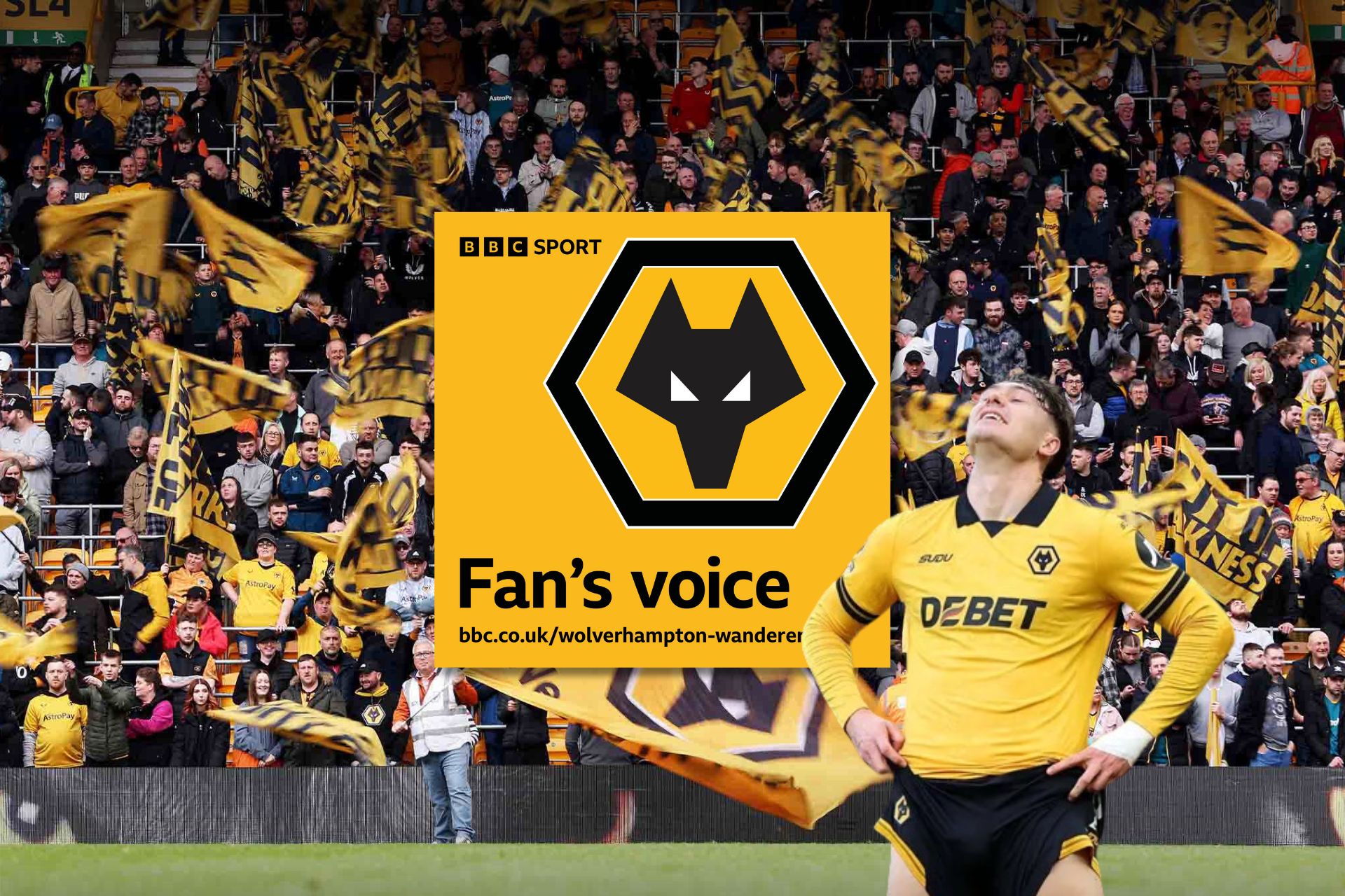 Jacob Hope Wolves Wolves Green Shoots of Hope | Always Wolves